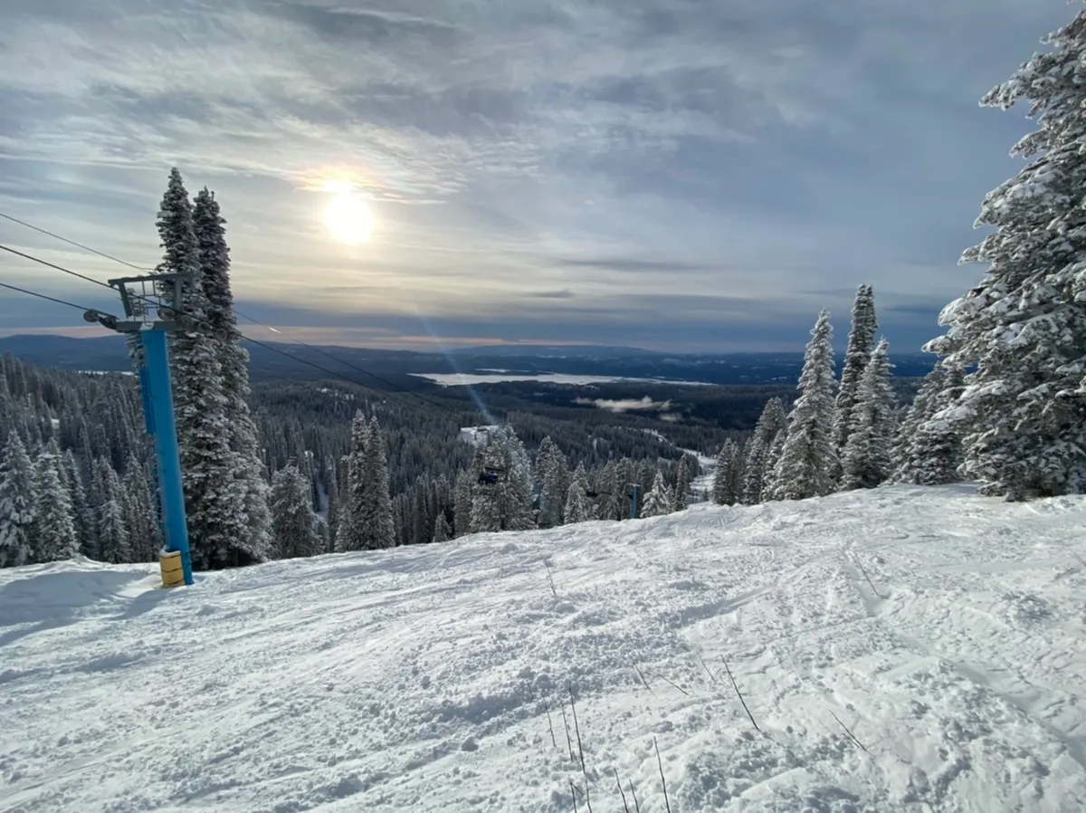 Chairlift tower and groomed run above a forested valley at Brundage
