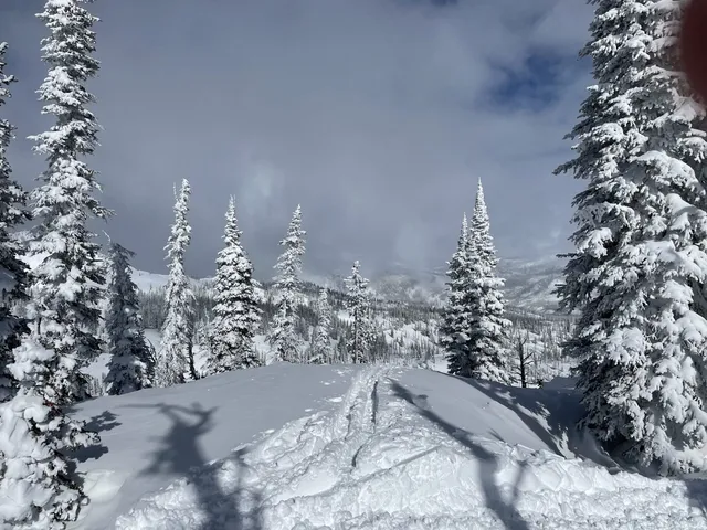 Snow-covered evergreens and a ridgeline under a cloudy sky