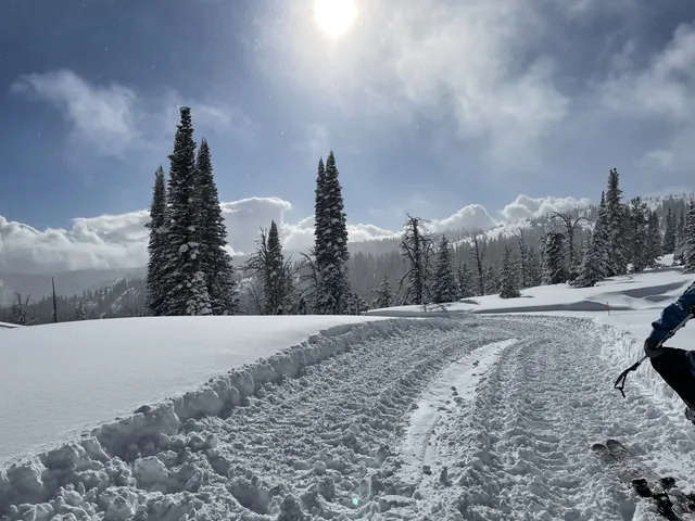 Snowcat track running across a wide snowfield under a blue sky