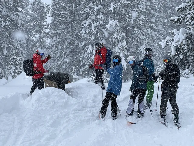 Group of skiers gathered in falling snow among heavily frosted trees