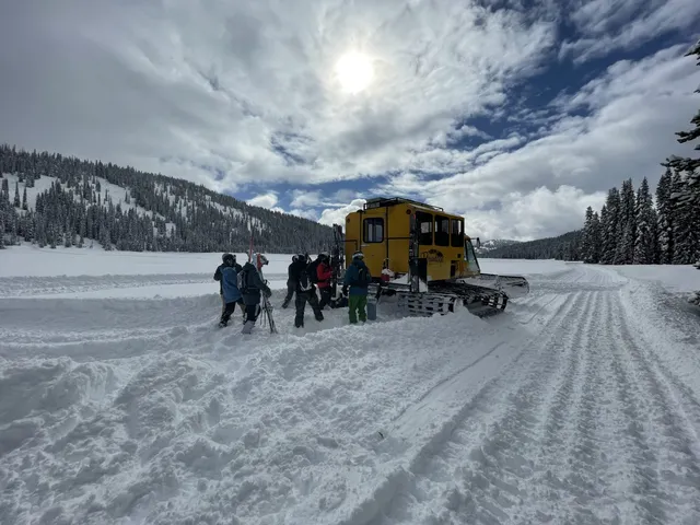 Skiers walking toward the yellow snowcat on a groomed snowcat road