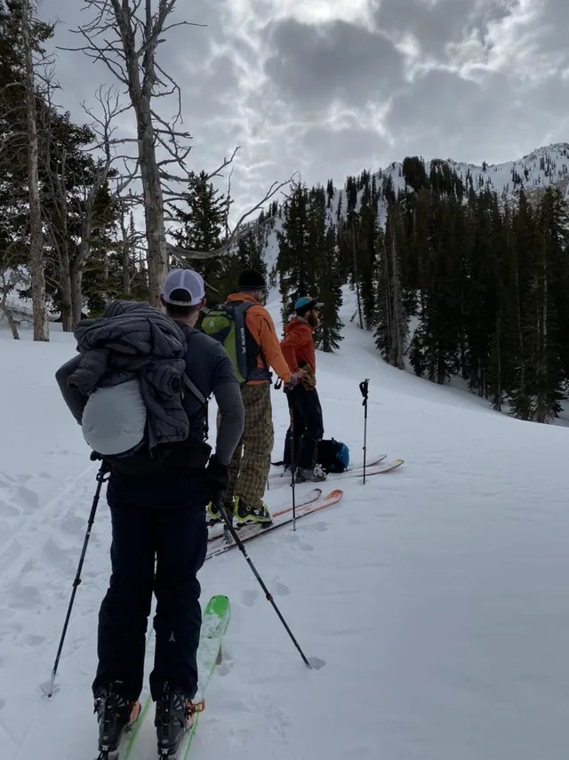 Backcountry skier with a pack stopping on a forested slope