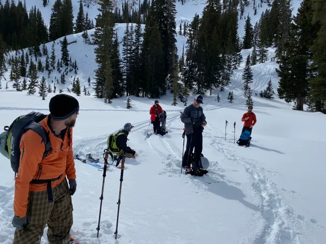 Group of ski tourers pausing on a snowy slope among evergreens