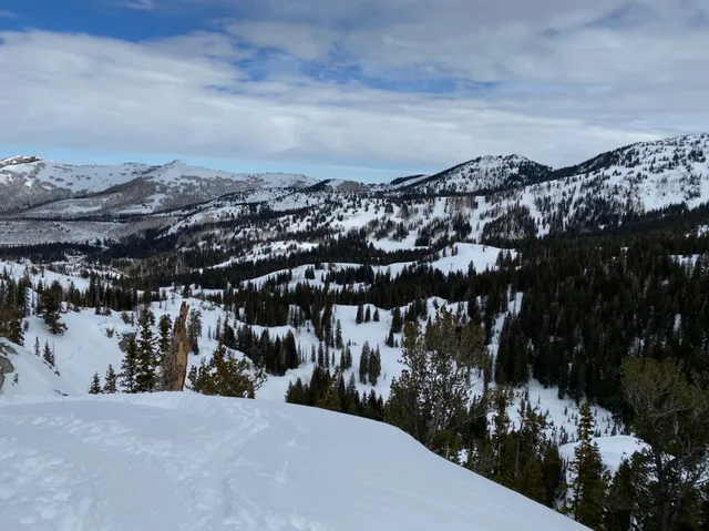 View across a wide snowy mountain valley in the Wasatch