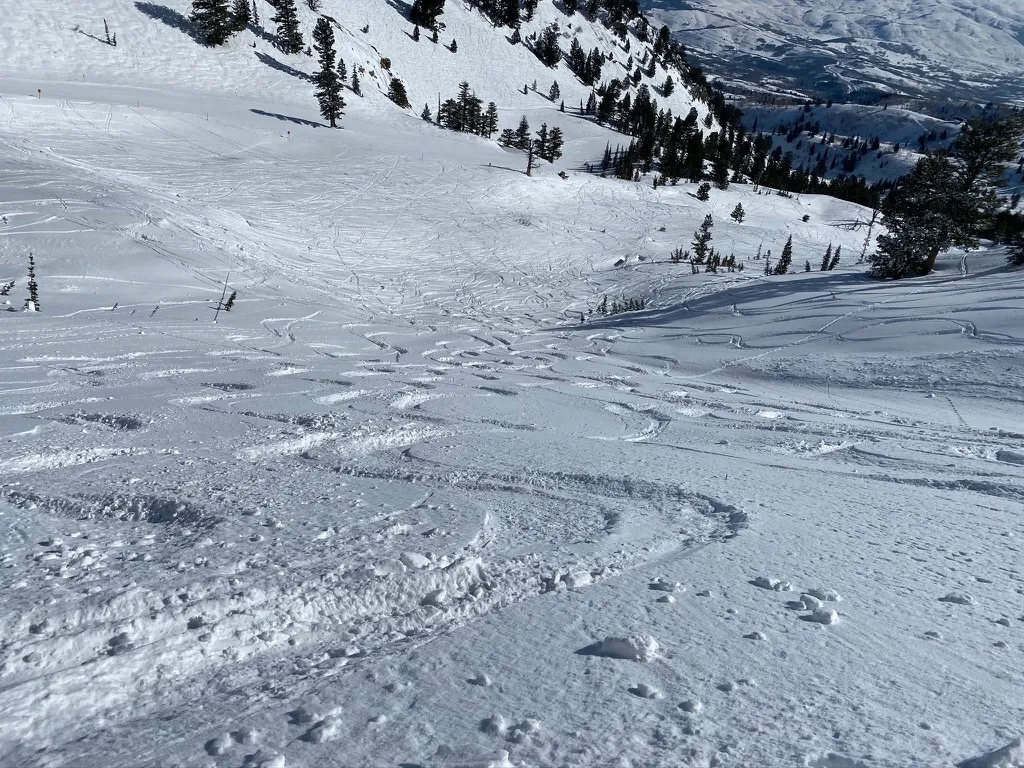 Mt Ogden Bowl