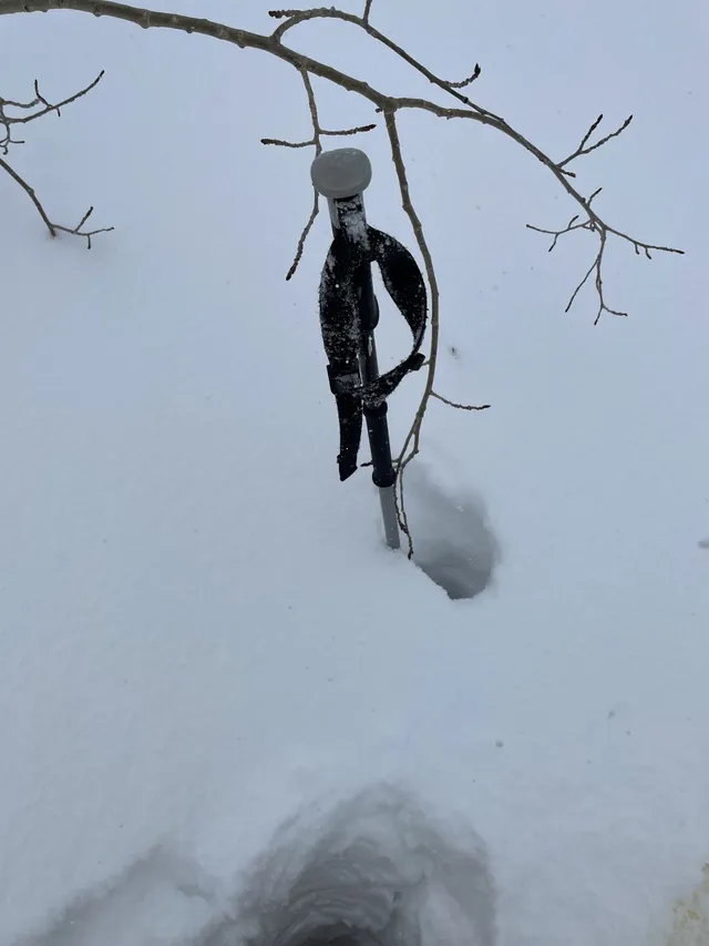 Snow-covered branch over deep powder with a dark item hanging from it