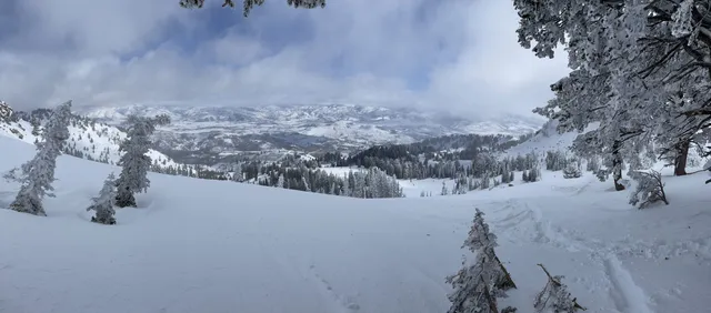 Wide view over snowy trees and the valley on a partly cloudy day